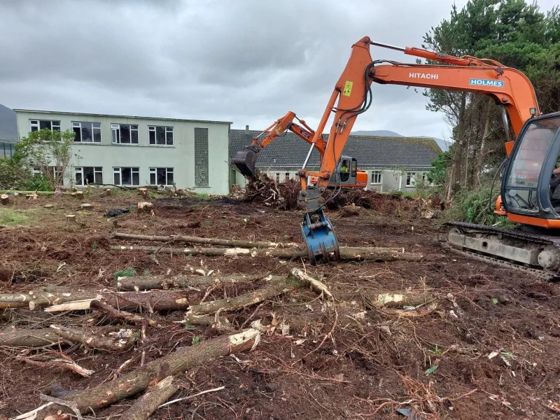 Tree Removal Mayo and Greenery Clearance - Holmes Building Services
