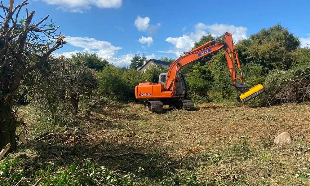 Green Overgrowth Clearance and Tree Removal Mayo