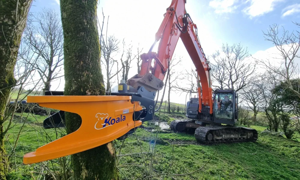 Greenery & Tree Removal Services Mayo