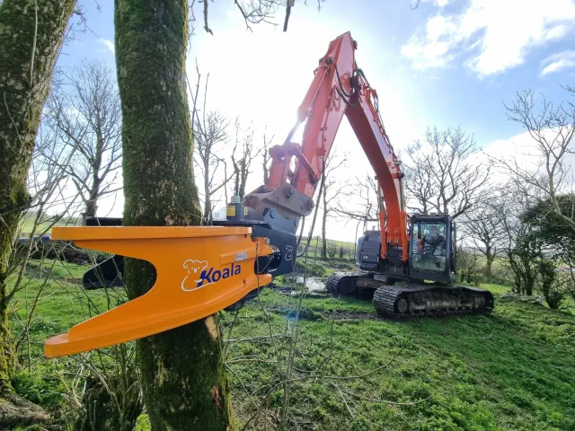 Tree Felling and Dangerous Tree Removal Mayo