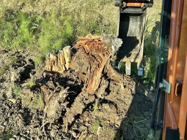 Tree Stump Removal Mayo, Excavator Stump Removal